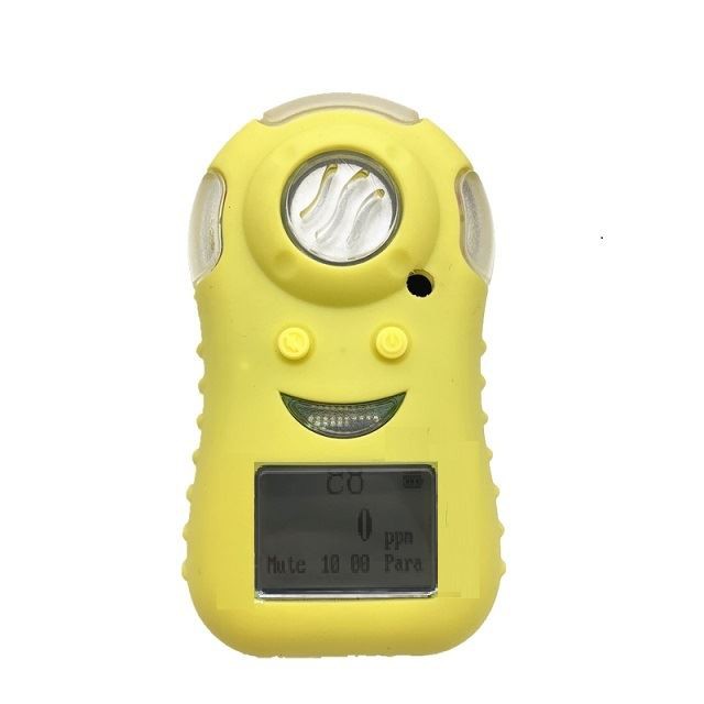 portable carbon monoxide  gas detector