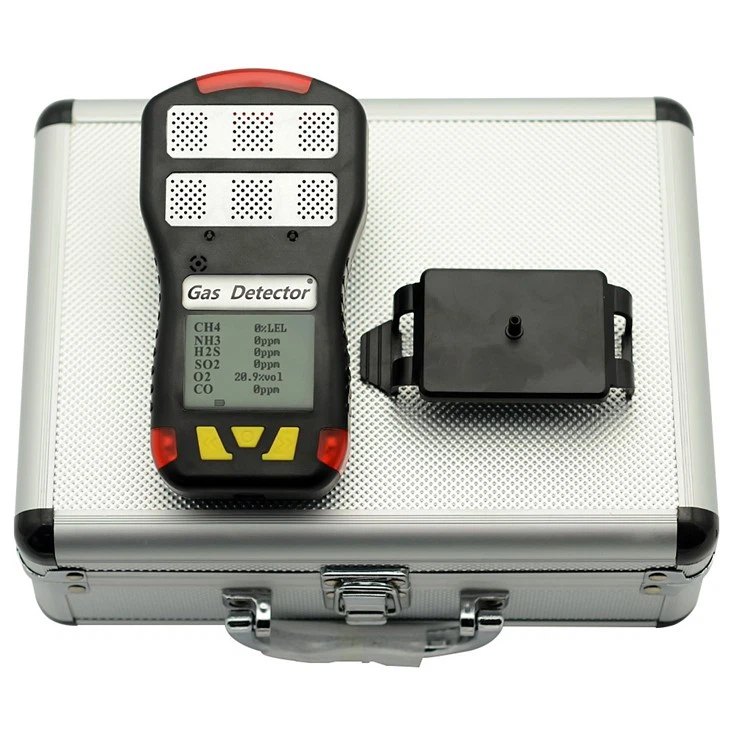 6 Gas Detector